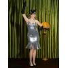 imageYESSA Flapper Dresses 1920s Gatsby Dresses for Women Roaring 20s Costumes Great Gatsby Outfits with 20s Accessories SetSilver